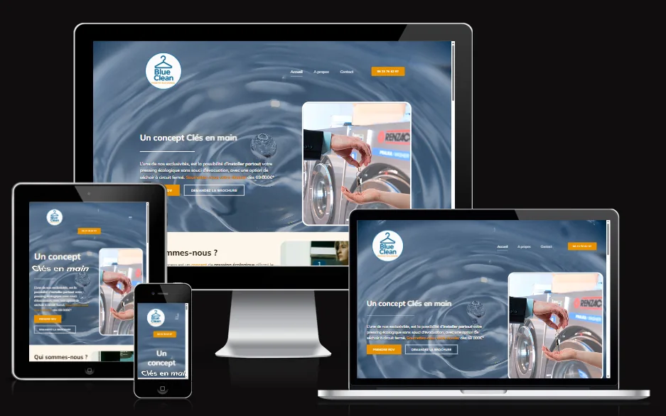 Aperçu du site BlueClean